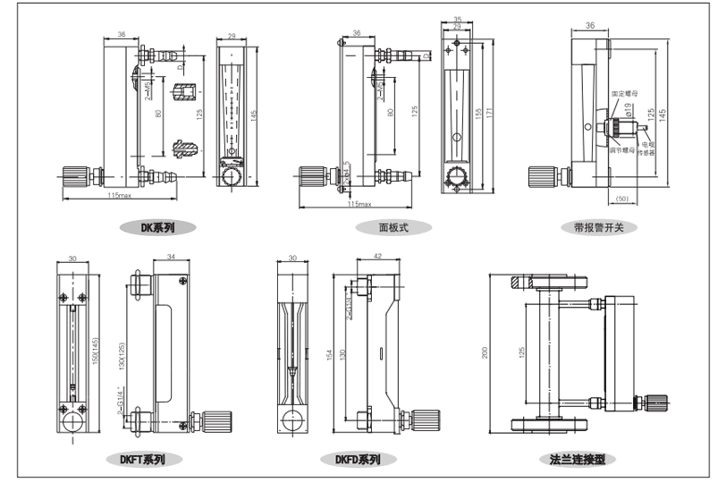 DK800玻璃转子流量计外形及安装尺寸